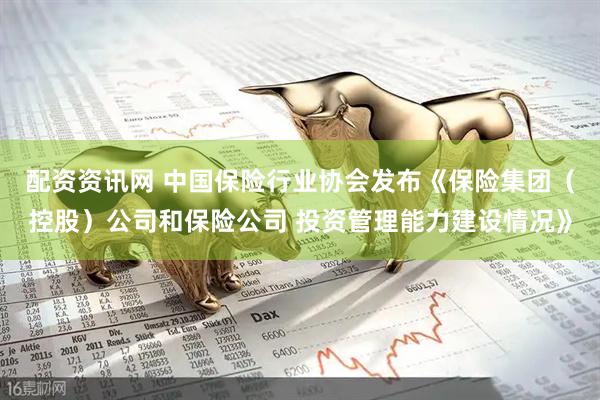 配资资讯网 中国保险行业协会发布《保险集团（控股）公司和保险公司 投资管理能力建设情况》