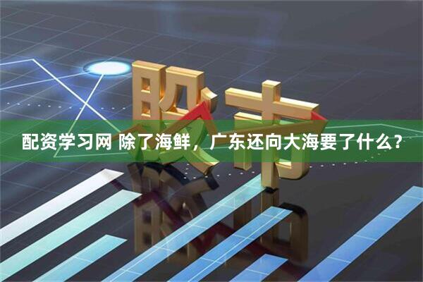 配资学习网 除了海鲜，广东还向大海要了什么？